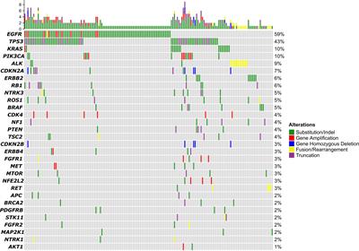 Tumor grade-associated genomic mutations in Chinese patients with non-small cell lung cancer